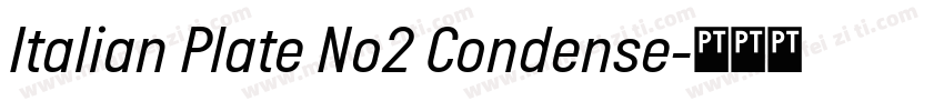 Italian Plate No2 Condense字体转换